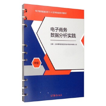 電子商務(wù)數(shù)據(jù)分析實(shí)踐 從理論到技能提升的路徑